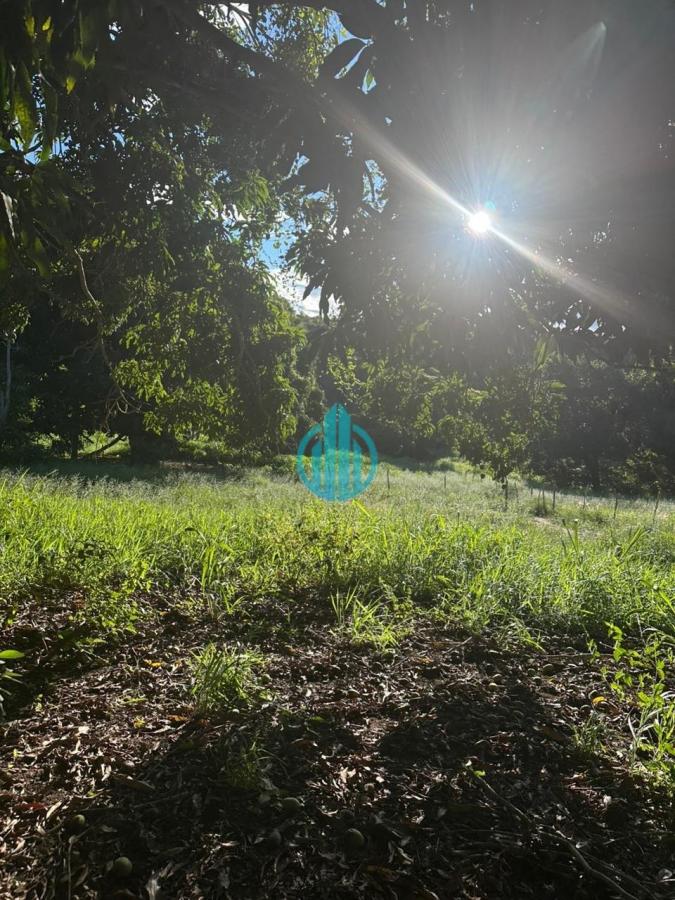 Foto 01