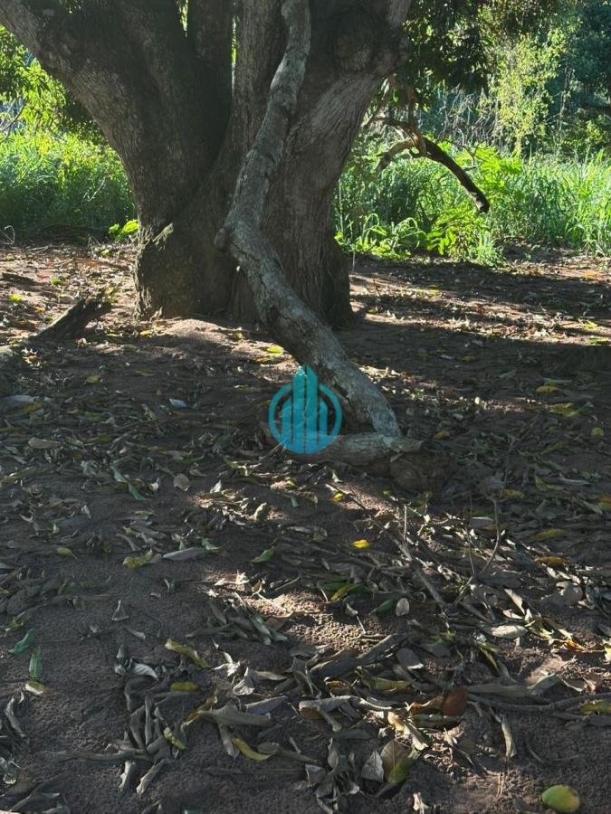 Foto 04