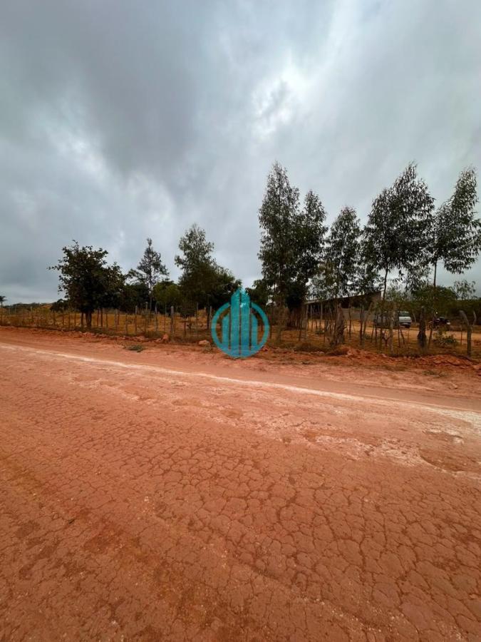Foto 06