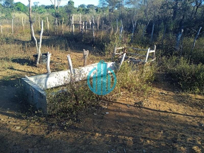 Foto 01