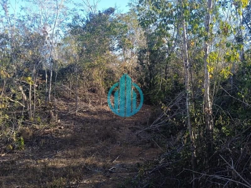 Foto 01