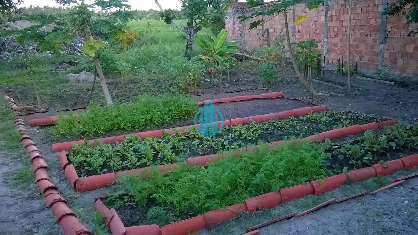Foto 09