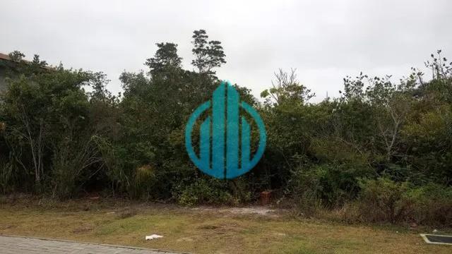 Foto 02