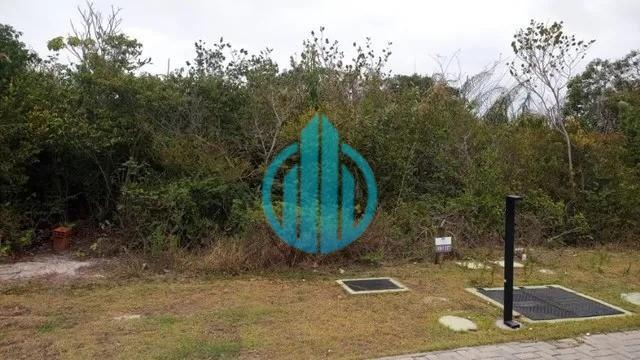 Foto 01