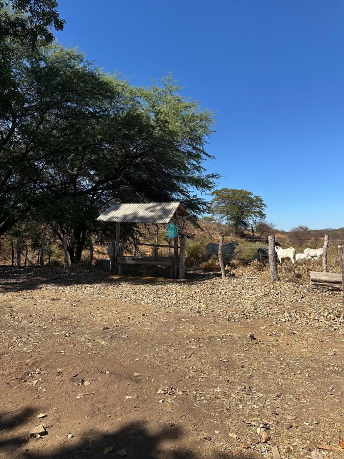 Foto 01