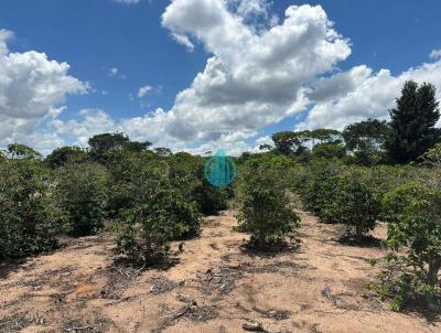 Terreno para Venda, em Seabra, bairro Seabra