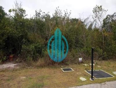 Terreno para Venda, em Mata De S�o Jo�o, bairro Mata De S�o Jo�o